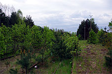 min 756 5.jpg min 756 5.jpg